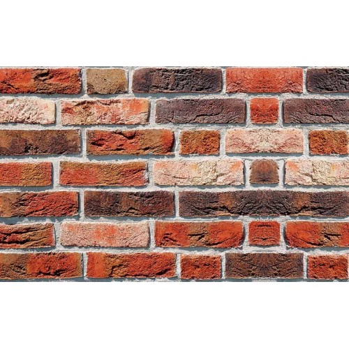 Фасадная плитка ручной формовки Roben Dykbrand фламандский пестрый NF14, 240*71*14 мм