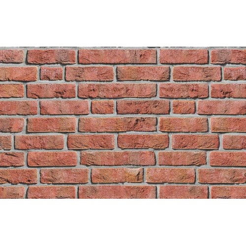 Фасадная плитка ручной формовки Roben Formback Hellrot-bunt NF14, 240*71*14 мм