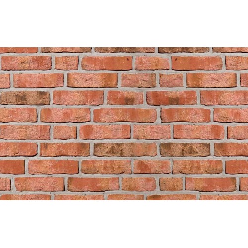 Фасадная плитка ручной формовки Roben Moorbrand Lehm-bunt NF14, 240*71*14 мм