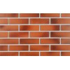Клинкерная фасадная плитка Roben Darwin glatt NF15, 240*71*15 мм