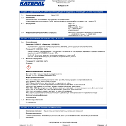 Мойка крыш KATEPAL K-10